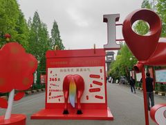 -泗洪洪泽湖湿地景区