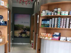 -关爱宠物医院·猫科中心·消化科(滨湖万达分院)