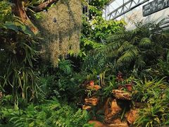 -国家植物园南园