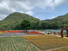 -广州市石门国家森林公园