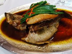 -老吉士酒家(天平路店)