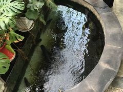 -燕北云山·农家菜·灶台鱼(密云溪翁庄店)
