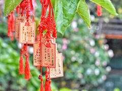 -乌镇西栅景区-月老庙