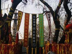 -大槐树寻根祭祖园