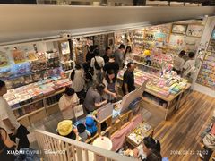 -猫的天空之城概念书店(苏州平江店)