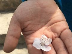 -碓臼峪自然风景区