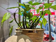 -小泉居(水坑尾店 )