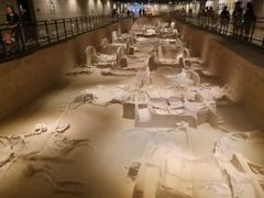 -洛阳周王城天子驾六博物馆