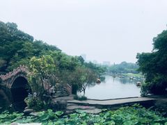-桂湖森林公园