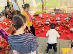 -前小桔亲子创意农场·草莓采摘·露营烧烤