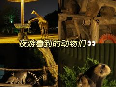 -大连森林动物园