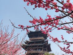 -杭州半山国家森林公园