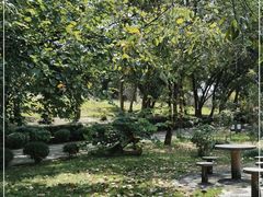 -南宁良凤江国家森林公园