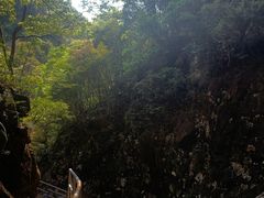 -花岩国家森林公园