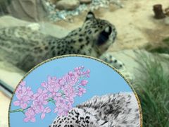 -青藏高原野生动物园