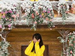 -世界之窗阿尔卑斯冰雪世界
