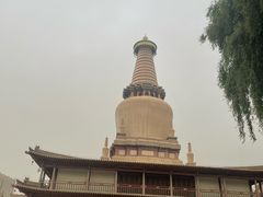 -张掖大佛寺景区