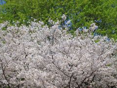 -湘湖金融镇