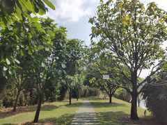 -中国移动南方基地