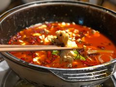 -重庆乌鱼庄·龙滋鲜(青羊大道店)