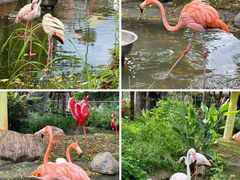 -灵玲国际马戏城