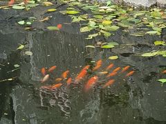 -一品飘香米线(一中总店)