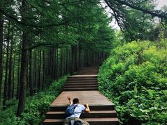 -驼梁风景区