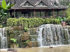 -中国科学院西双版纳热带植物园