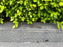 -小南山公园