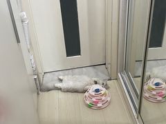 -FAELING PETS美天灵宠物(富力广场店)