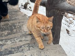 -终南山南五台景区