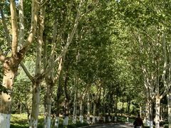 -春晖园度假酒店温泉