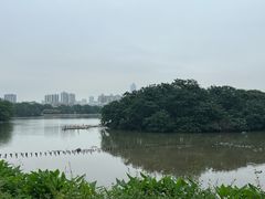 -海珠湖公园