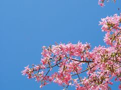 -祝屋巷社区公共服务站