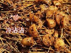 -谢智冷沾沾(马家巷总店)