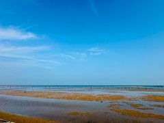 -刘家湾赶海园