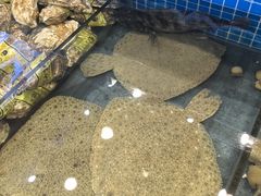 -隐厨·海鲜餐厅(恒通路店)