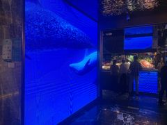 -喜庭海鲜自助(北辰三角洲北辰荟店)