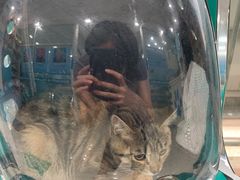 -乖乖乐动物医院(小汤山分院)