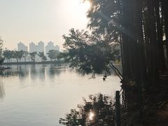 -武汉动物园