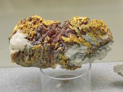 -甘肃地质博物馆