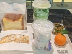 -TD66高山铁皮石斛养生茶饮