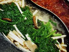 -川西坝子火锅(金沙1.0直营店)