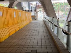 -香港大学