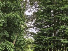 -桤木河湿地公园