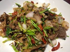 -邵年鸽(杨庄店)