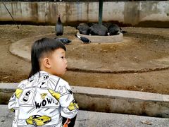 -森林公园(尖草坪区)
