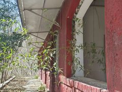 -泰山风景名胜区-普照寺