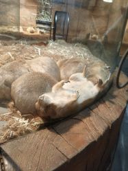 -Zoolung Zoolung动物主题公园(海信广场店)