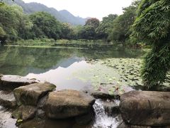-中国茶叶博物馆(双峰馆区)